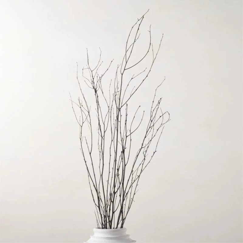 Decorative Black Birch Branches 50'' 3 Decorative Black Birch Branches 50''