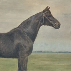 Black Horse' Framed Oil Painting Reproduction 18''x22'' -Home Furnishing Store BlackHorse18x22inAVSHF22