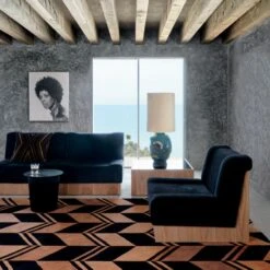 Onca Black Throw Pillow With Down-Alternative Insert 23" -Home Furnishing Store CB2FA21 KD 1A 0217 OC21 1x1