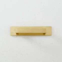 Damon Brushed Brass Handle With Back Plate 3"