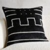 Lines Turkish Black Silk Throw Pillow With Feather-Down Insert 20" -Home Furnishing Store ModernLnTkSkPlwCv20X20inSHF21