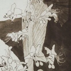 'Plant Study (Nettle)' Framed Reproduction By Carel Adolph Lion Cachet 18''x22'' -Home Furnishing Store PlantStudyNettle18x22inAVSHF22