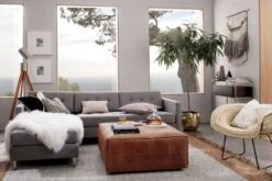 Reflect Black And White Throw Pillow With Down-Alternative Insert 20" -Home Furnishing Store dittoIIsectionalmongolianJL17